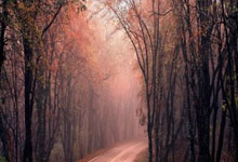 乐鱼体育:英超:12分钟 “戴帽”救主 曼联小将阿玛.