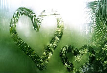 俱乐部国家队0出场,却赚到3600万:国足归化史上“第一大坑”非他莫属.